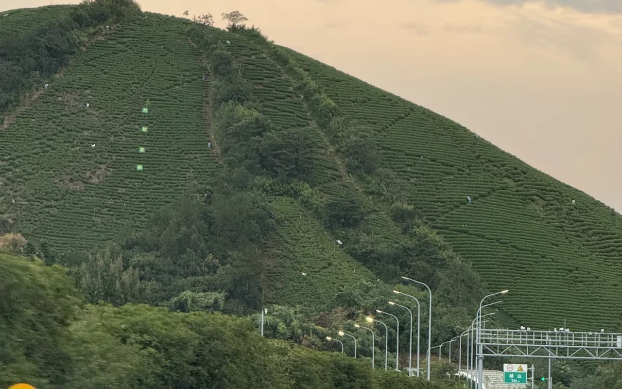 陈落山